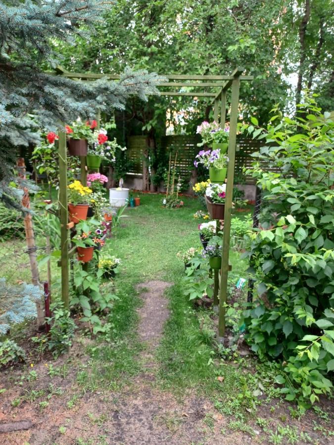 Apartament Lord Stary Toruń المظهر الخارجي الصورة