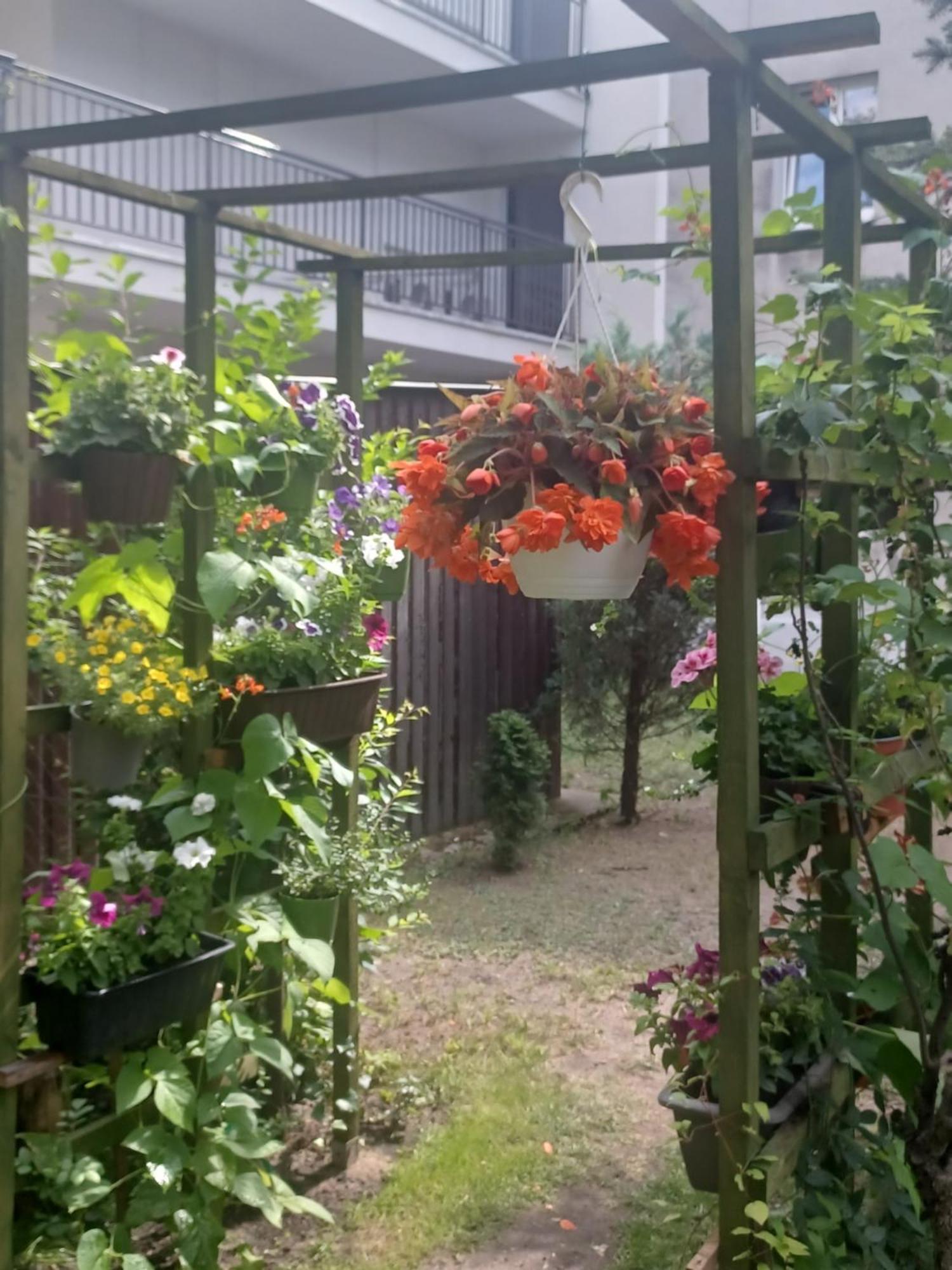 Apartament Lord Stary Toruń المظهر الخارجي الصورة